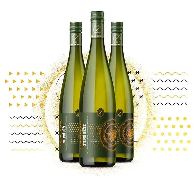 STEPNÍ BĚŽEC 2025